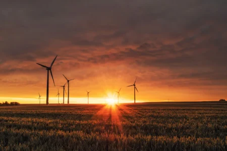 Windmühlen auf einer Wiese während des Sonnenaufgangs
